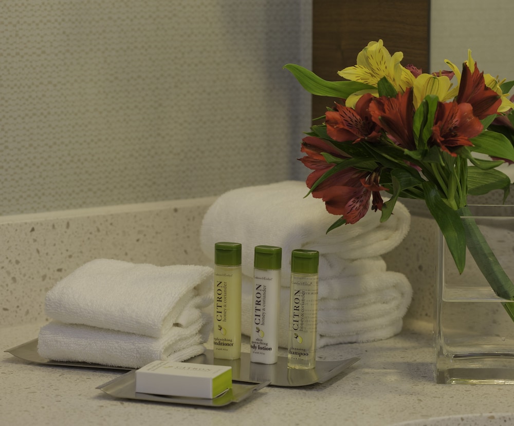 DoubleTree by Hilton Pittsburgh Green Tree - photo 21