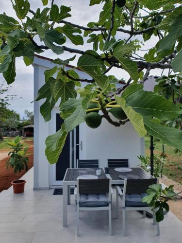 Studio Apartment Ceca — 4-Star Luxury Hotel in Fazana, Croatia