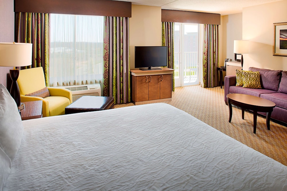 Hilton Garden Inn Hartford North Bradley International Airport - photo 18