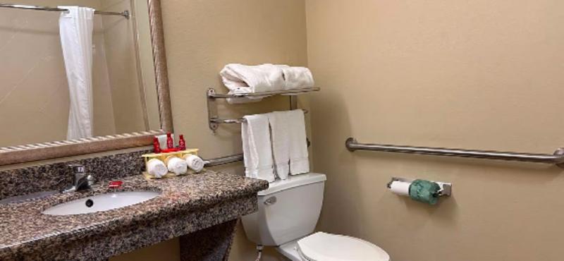 Holiday Inn Express Leesville - photo 12