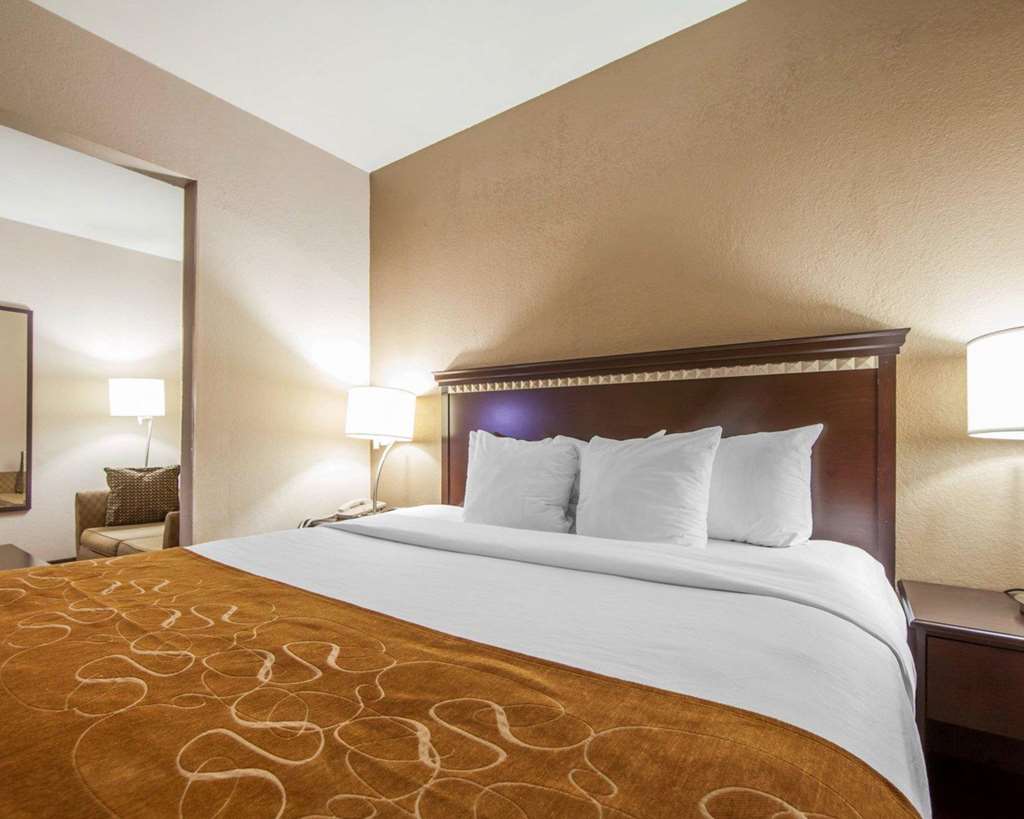 Comfort Suites London South - photo 22