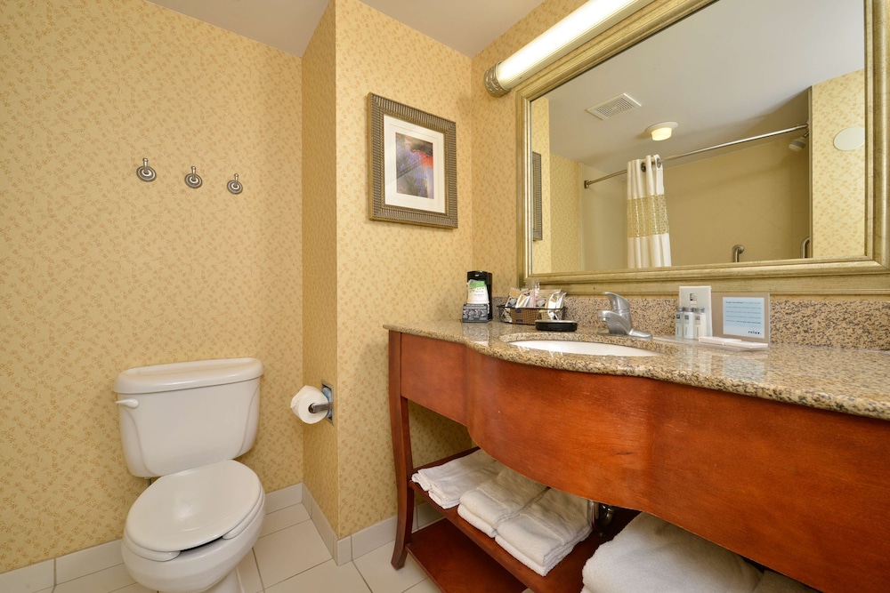 Hampton Inn Farmville VA - photo 28