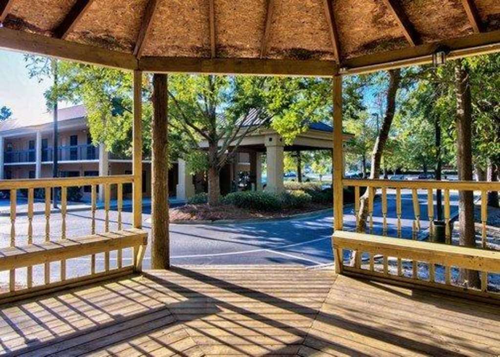 Clarion Inn & Suites Aiken South - photo 45