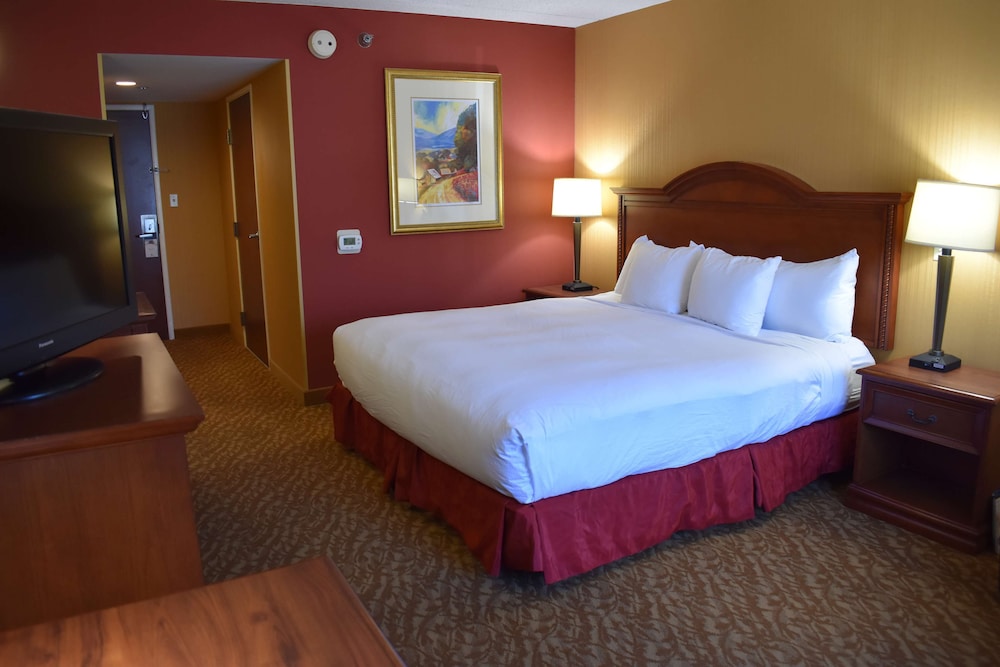 DoubleTree by Hilton Asheville Biltmore - photo 37