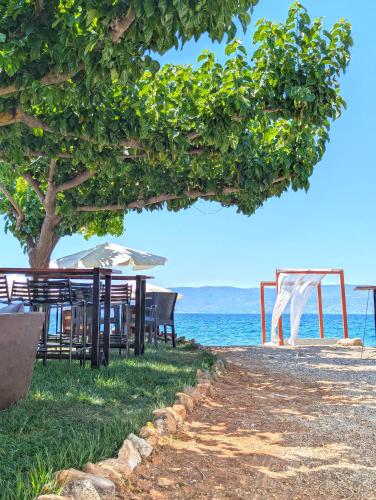 Sea You on the Beach — Amarynthos — photo 5