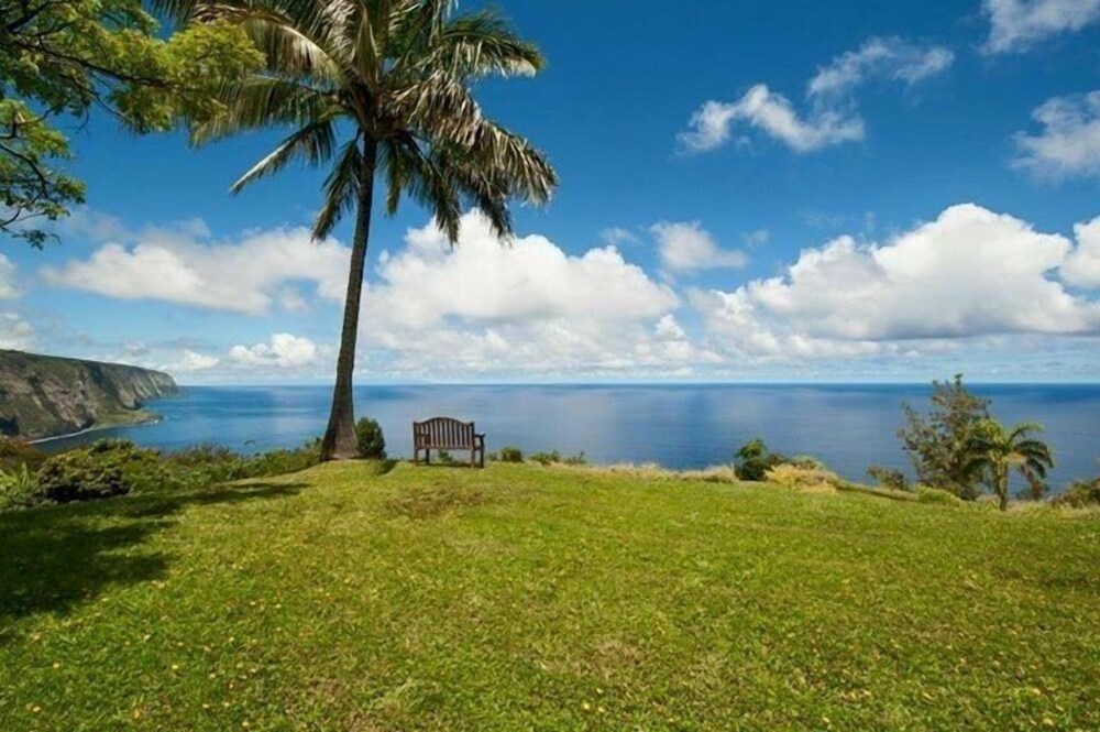 Hale Kukui Orchard & Cottages - photo 54
