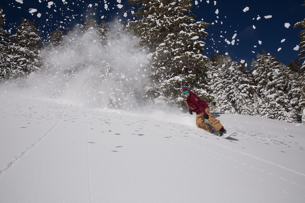Mammoth Mountain Inn - photo 51