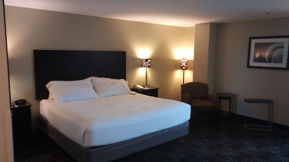 Holiday Inn Express & Suites Pittsburgh West Greentree by IHG - photo 6