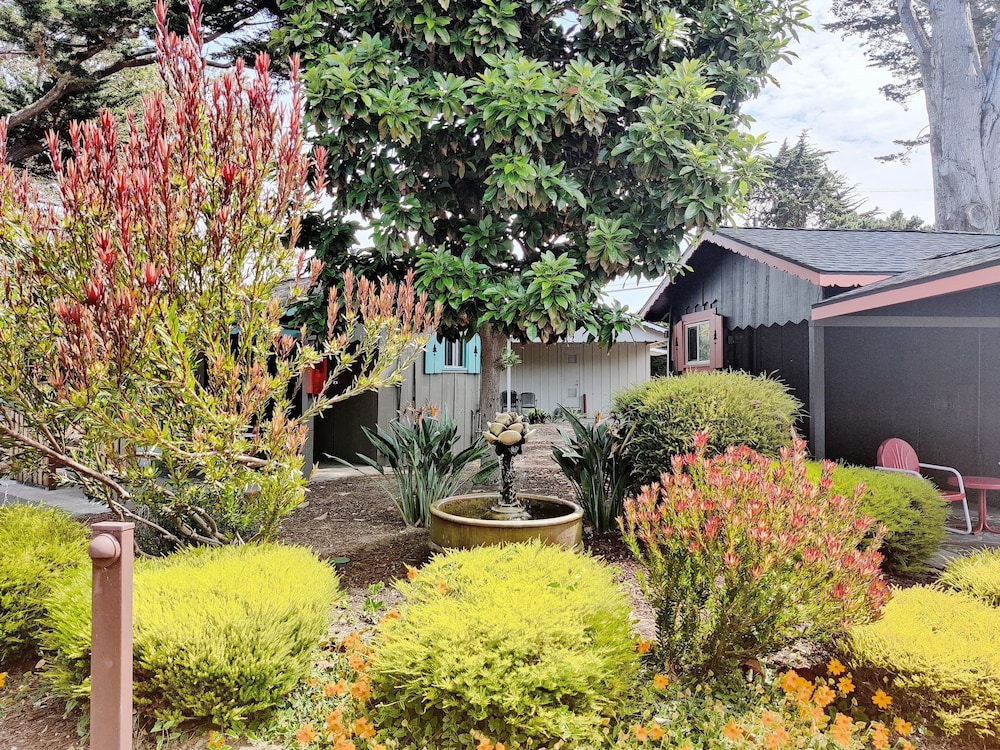 Carmel River Inn & Cottages - photo 88