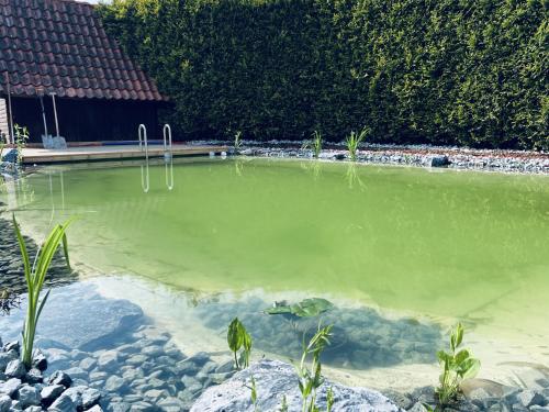 Fewo Zitronenfalter EG — 4-Star Luxury Hotel in Dornum, Germany