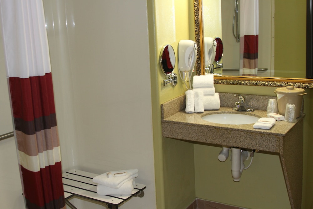 Red Roof Inn & Suites Detroit Melvindale Dearborn - photo 9