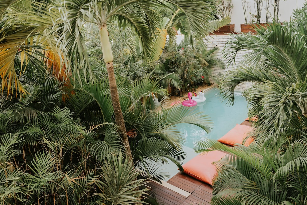 Pool waterfall