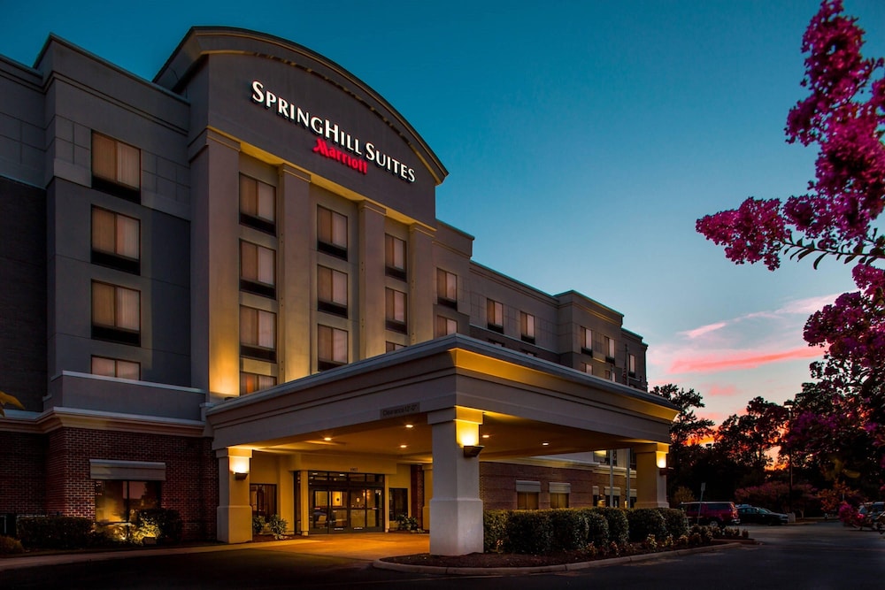 Springhill Suites by Marriott Hampton Coliseum - photo 23