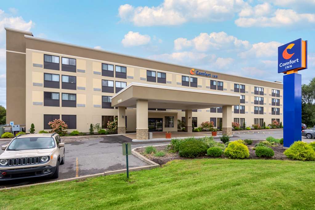 Comfort Inn Binghamton I 81 — Binghamton