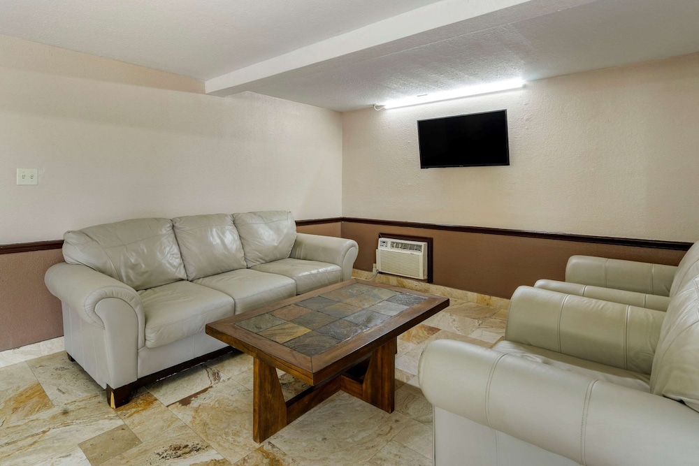 Rodeway Inn Clearwater Dunedin - photo 5