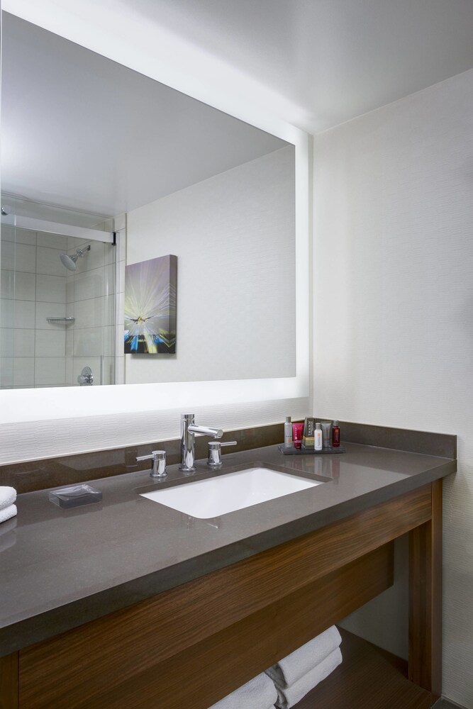 Houston Airport Marriott at George Bush Intercontinental - photo 16