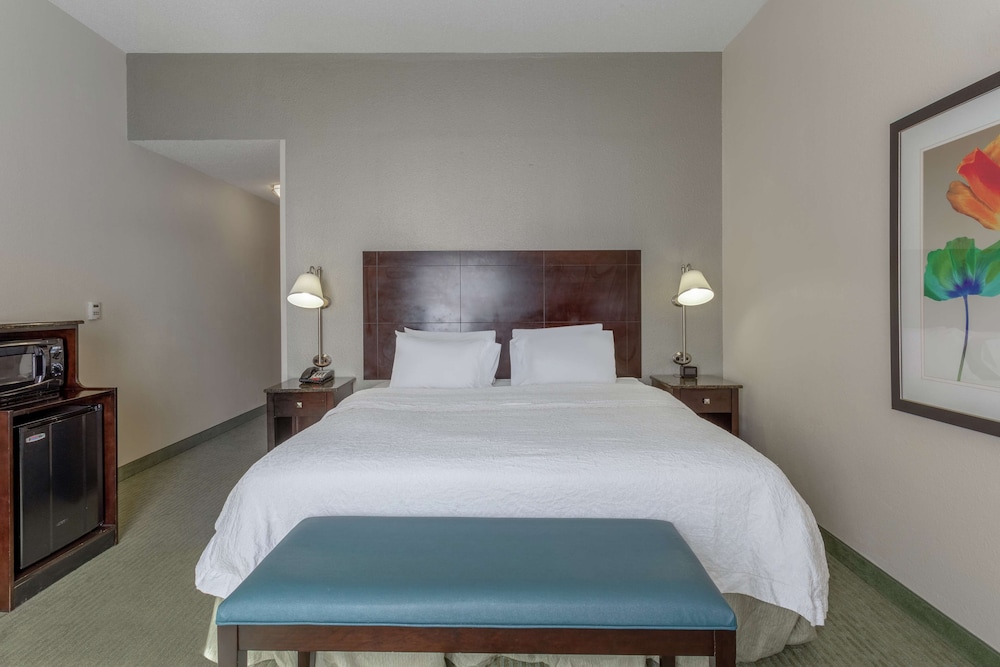 Hampton Inn Richmond South - photo 6