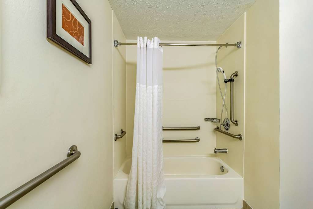 Comfort Inn Independence Cleveland - photo 27