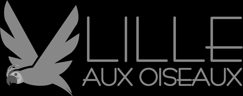 B&B Lille aux Oiseaux — 4-Star Luxury Hotel in Lille, France
