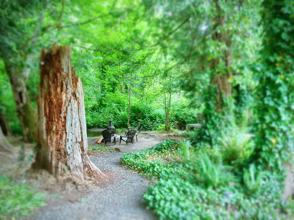 Robin Hood Village Resort - photo 114