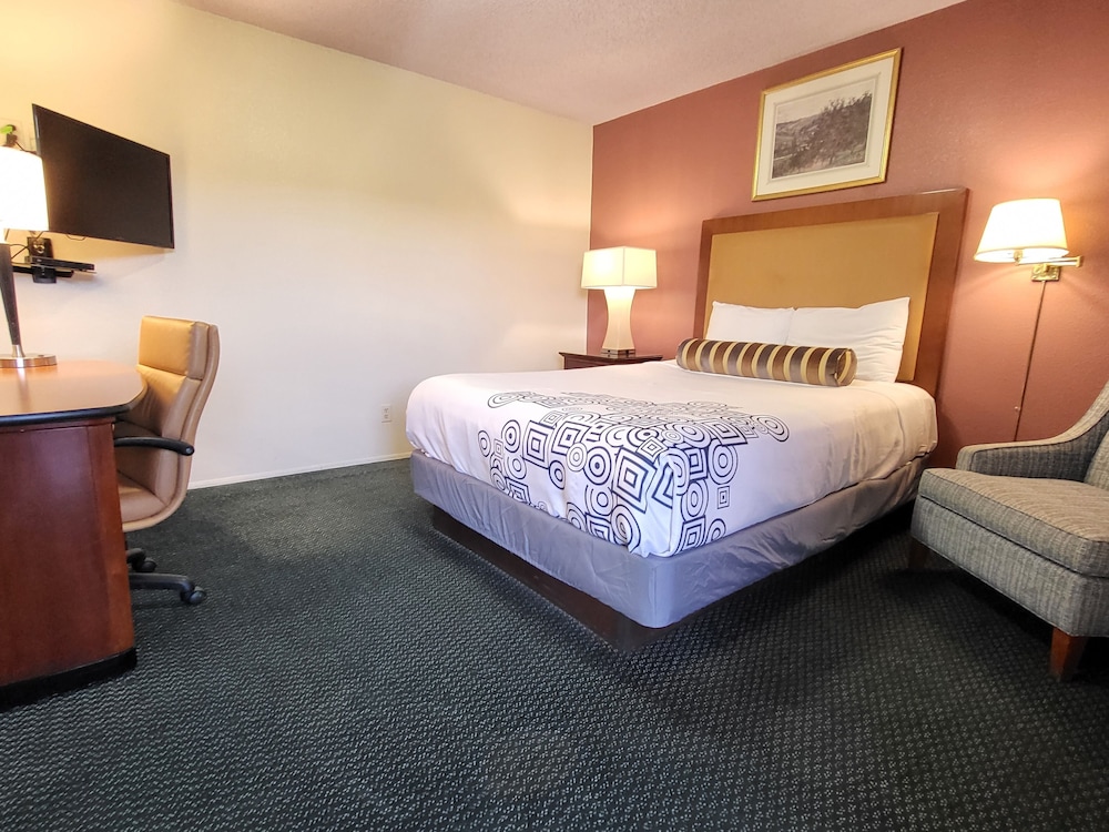 Star Inn - photo 9