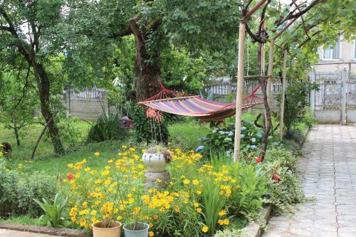 Guest house Maspindzeli