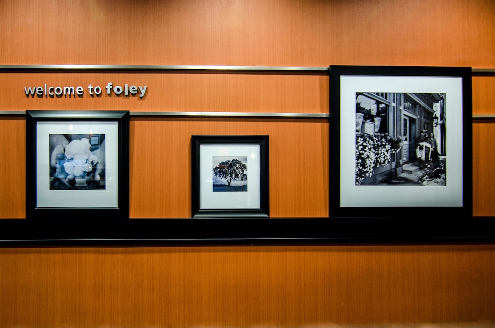 Hampton Inn Foley - photo 10