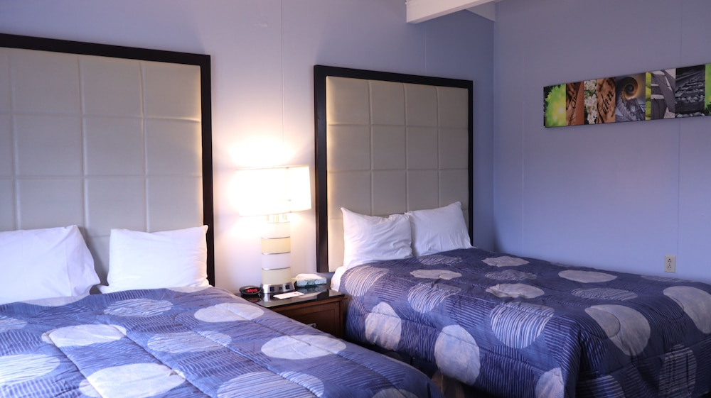 Copper Lantern Motor Lodge - photo 17