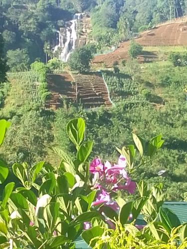 Spread view ella in Ella Town, Sri Lanka