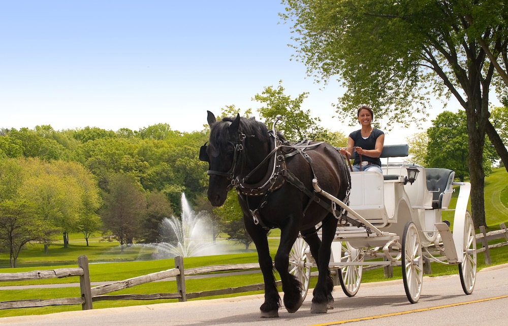 Holiday Inn Club Vacations at Lake Geneva Resort by IHG - photo 22