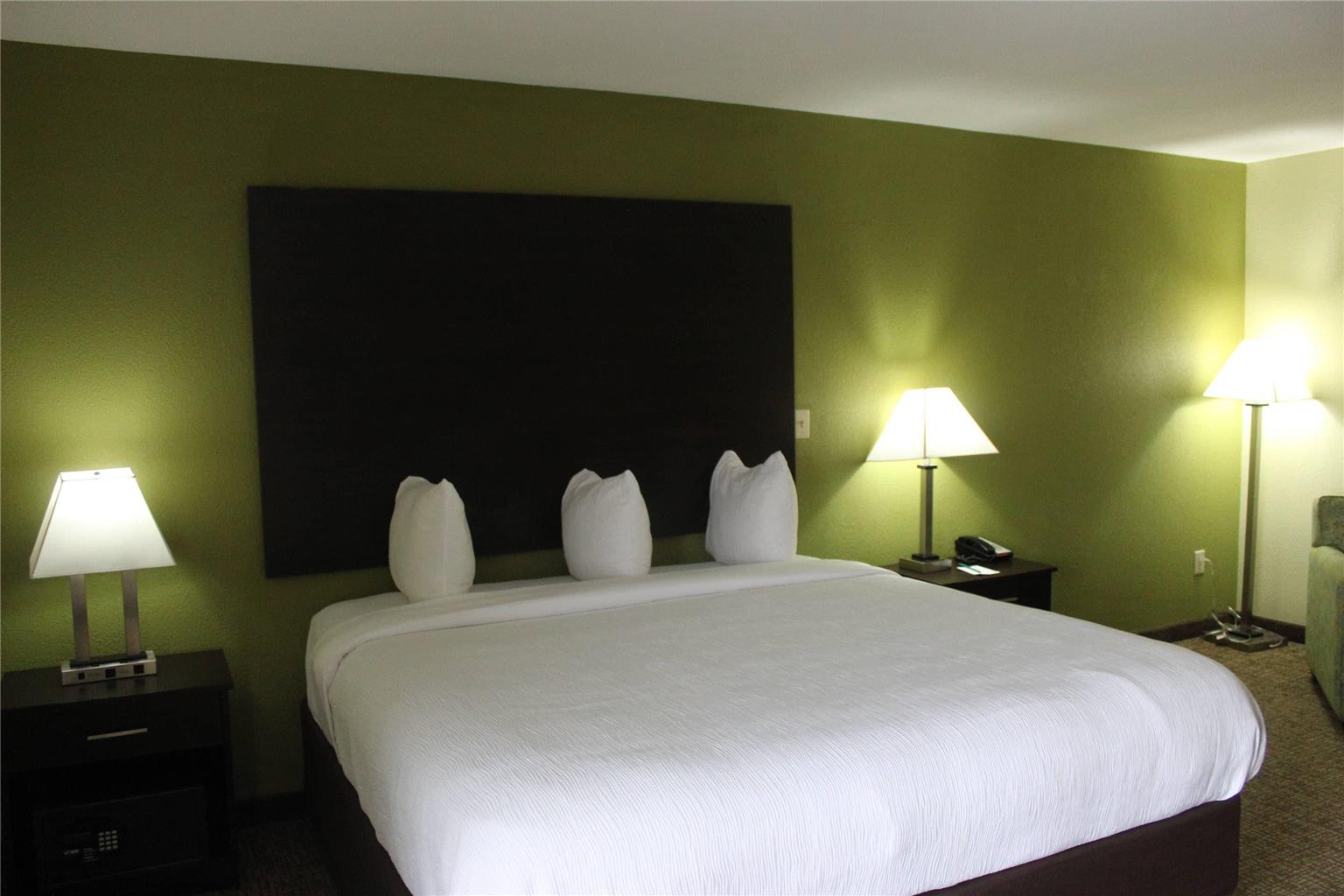 Quality Inn and Suites University Area - photo 20