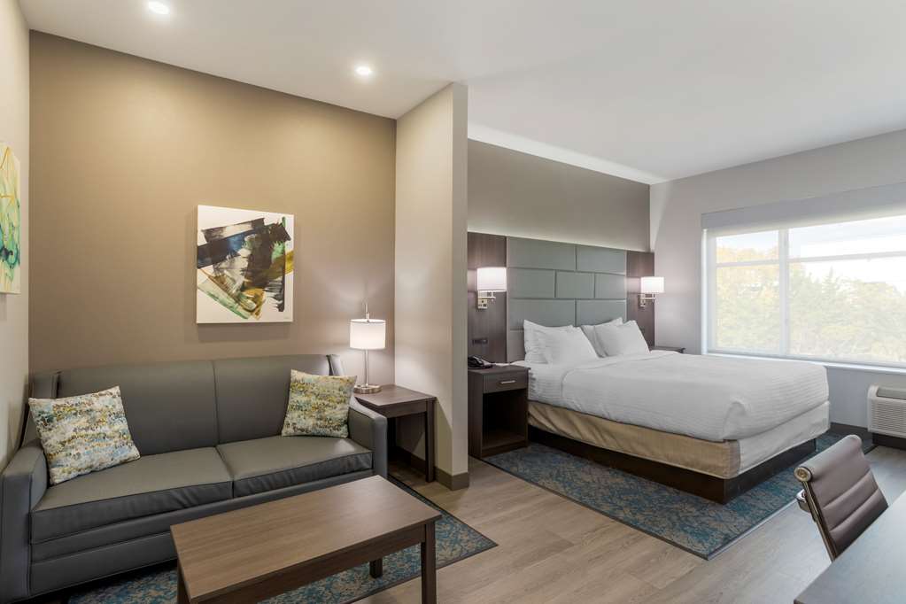 Best Western Plus Executive Residency Antioch Inn - photo 2
