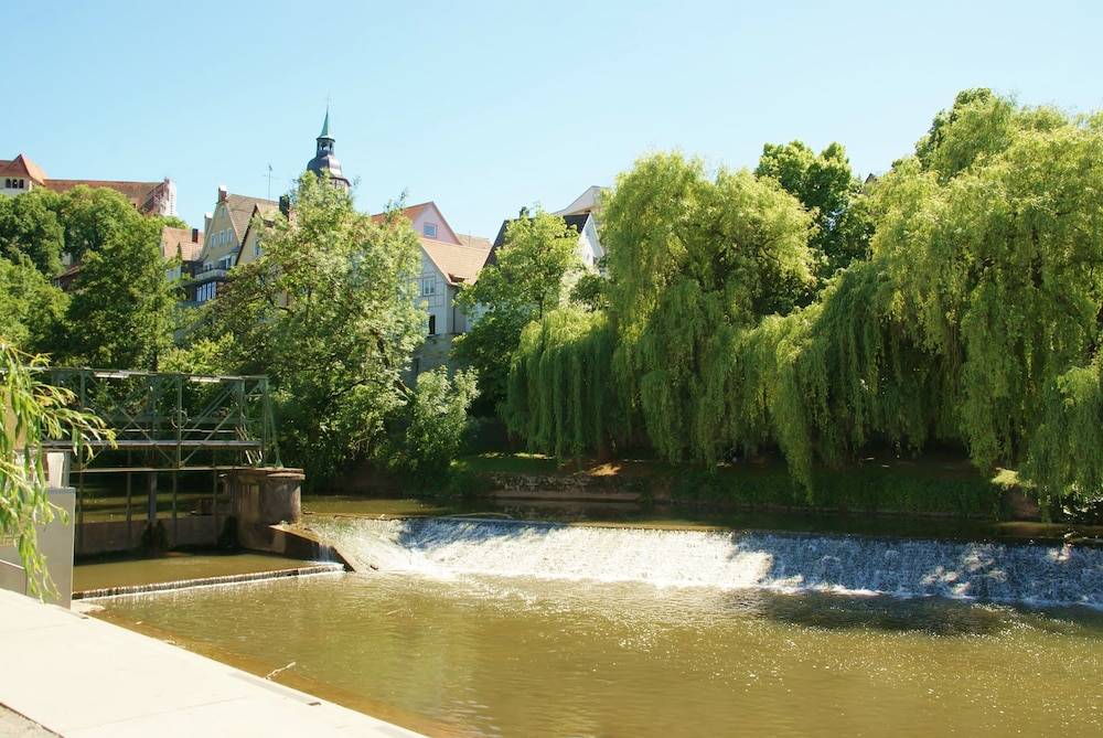 Land view from property
