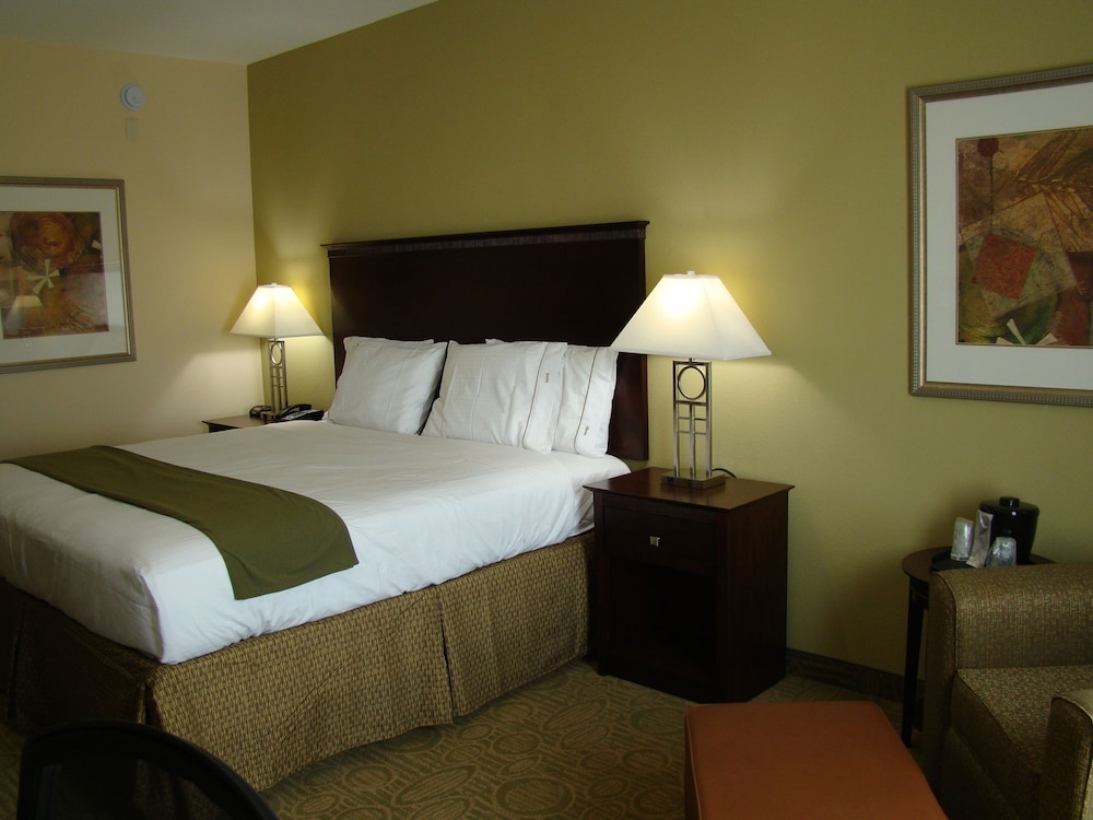 Holiday Inn Express Hotel & Suites Brownfield by IHG - photo 16