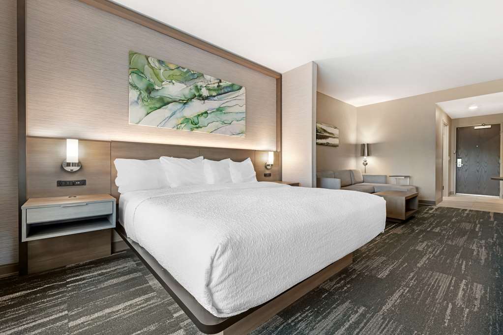 Best Western Plus Grand Rapids MN - photo 33