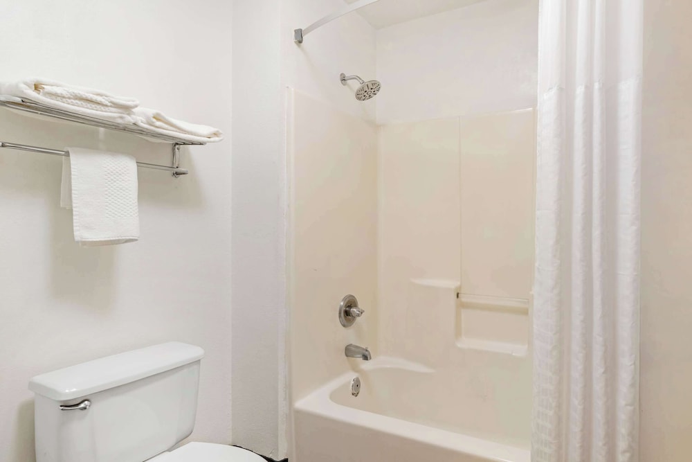 Quality Inn & Suites Decatur Priceville I 65 - photo 7