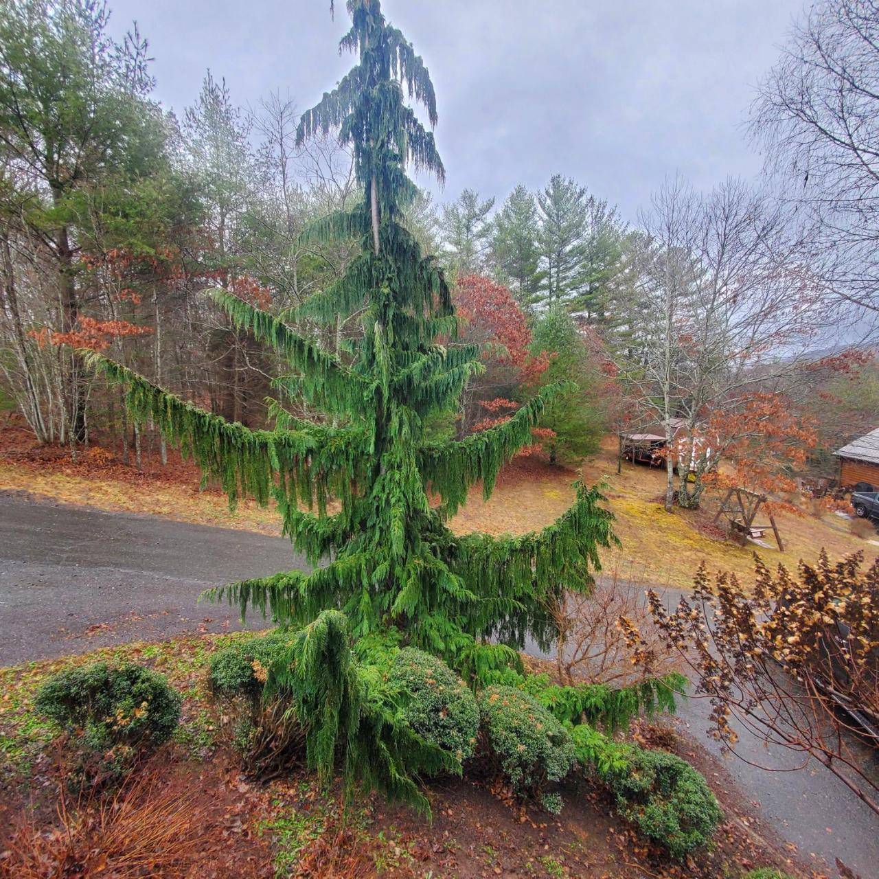 Evergreen Retreat — hotel in Fleetwood