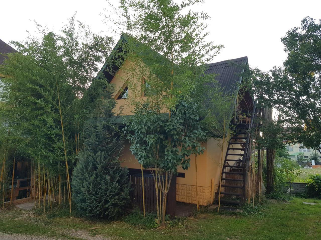 Vile Conny — Unknown City — photo 3