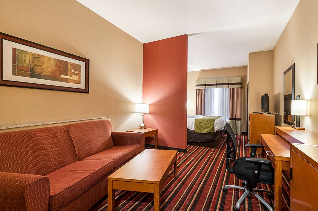 Comfort Suites Sulphur Lake Charles - photo 19