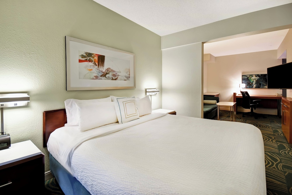 SpringHill Suites by Marriott Baltimore BWI Airport - photo 10