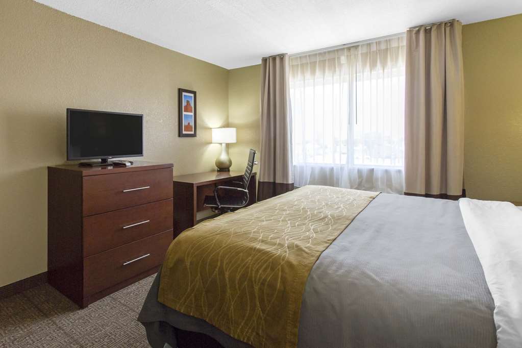 Comfort Inn & Suites Deming - photo 7