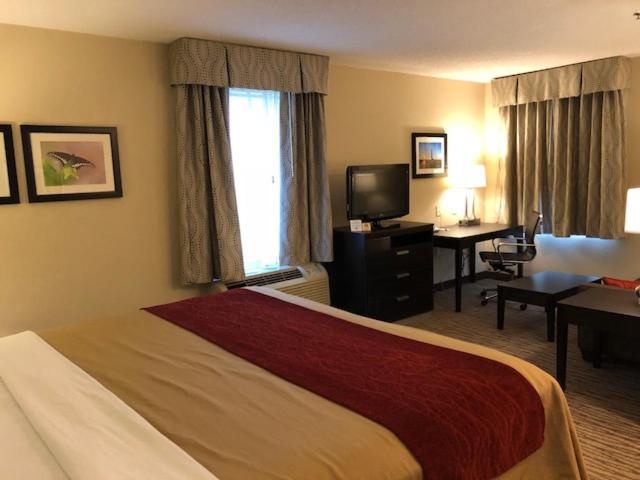 Inn at Clinton - photo 6