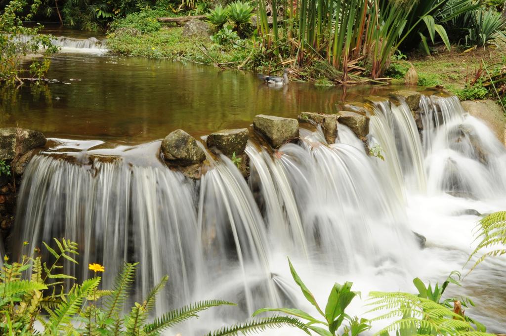Pousada Sitio e Poesia - carbon neutral hotel in Teresopolis