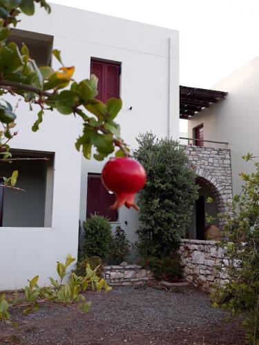 Vilana Studios in Kythira, Greece