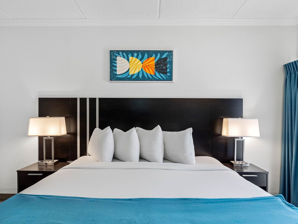 Karma Nest Tampa - photo 11
