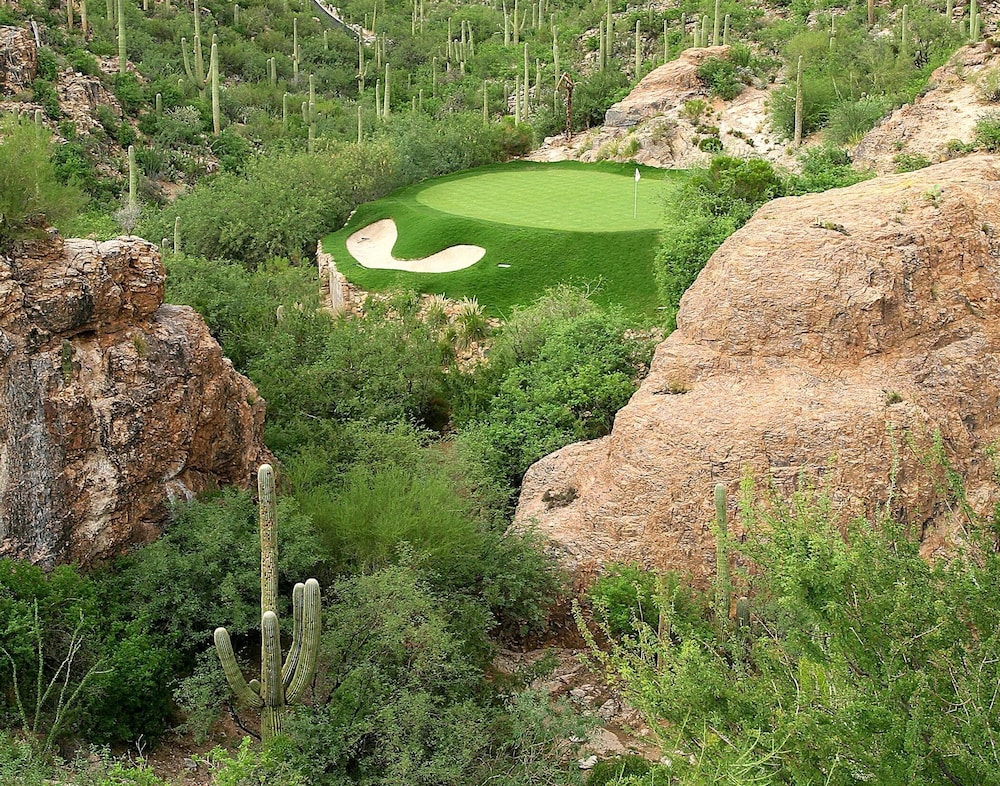 Loews Ventana Canyon Resort - photo 63