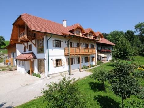 Peter in der Edt — hotel in Altmuenster