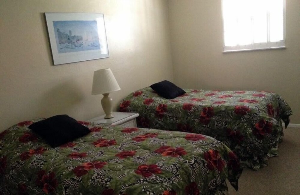 Palm Terrace - photo 15