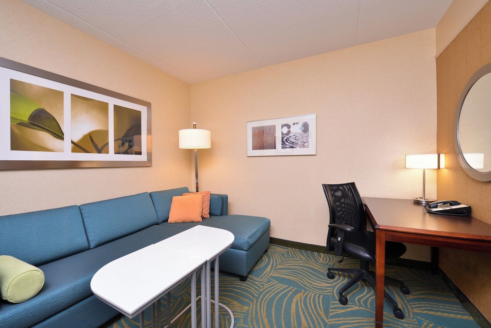SpringHill Suites by Marriott Arundel Mills BWI Airport - photo 9