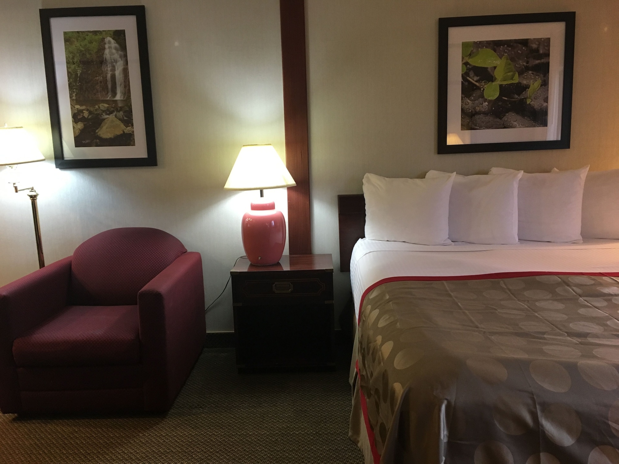 Ramada by Wyndham Portland Airport - photo 3